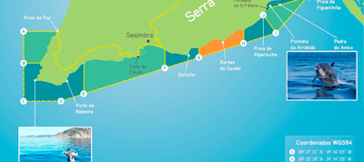 Descubra el Parque Marino Profesor Luiz Saldanha en Sesimbra: un santuario para la vida salvaje y el ecoturismo